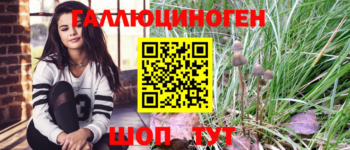 Галлюциногенные грибы мухоморы Когалым