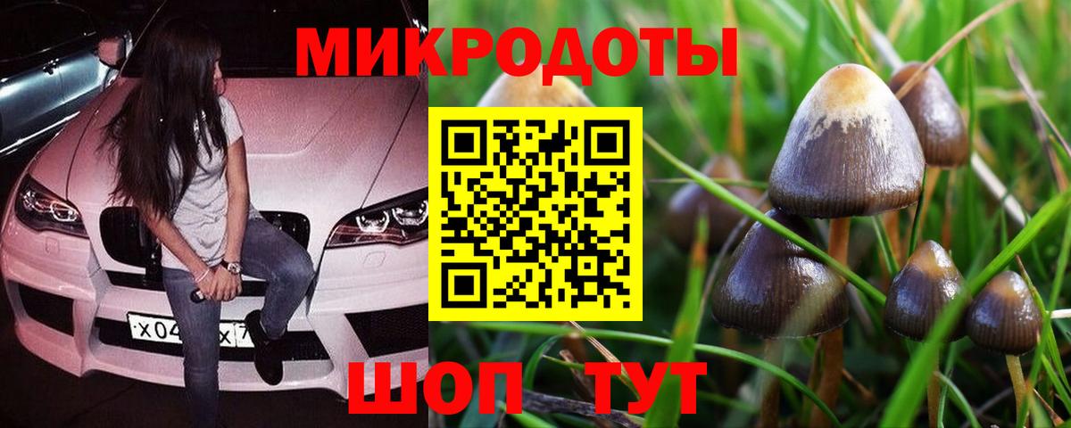 Когалым  Псилоцибиновые грибы Magic Shrooms  Галлюциногенные грибы Magic Shrooms  Вход с VPN 